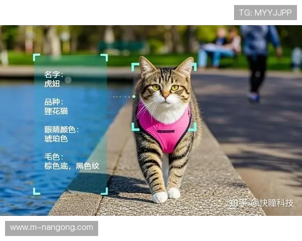 生物识别技术实现个性化内容推荐